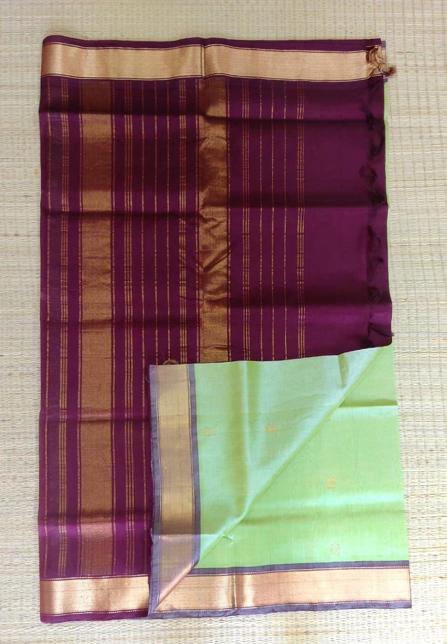 Silk cotton handloom Saree in pastal green with maroon border and golden butti