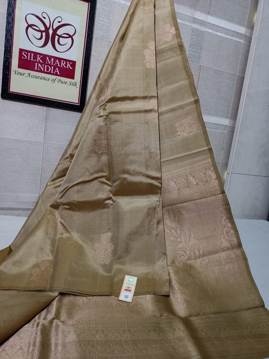 kanjivaram silk saree with double warp in borderless pastal golden color